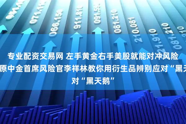 专业配资交易网 左手黄金右手美股就能对冲风险吗?原中金首席风险官李祥林教你用衍生品辨别应对“黑天鹅”
