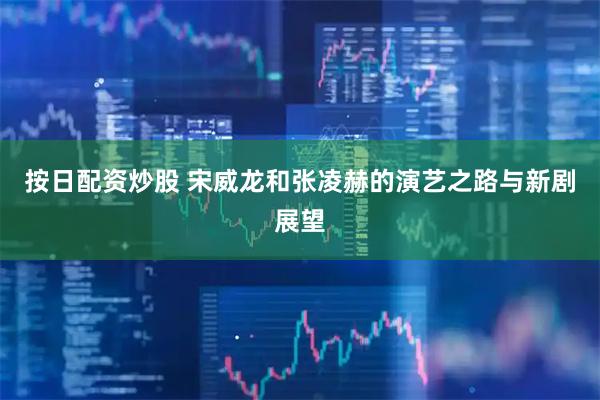 按日配资炒股 宋威龙和张凌赫的演艺之路与新剧展望
